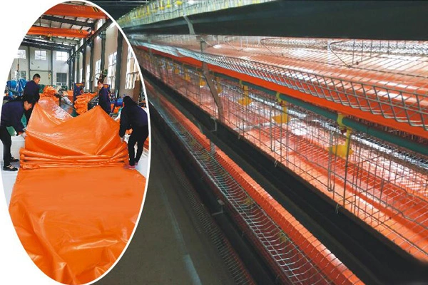 Meilleures applications de la bâche de race en PVC pour le bétail