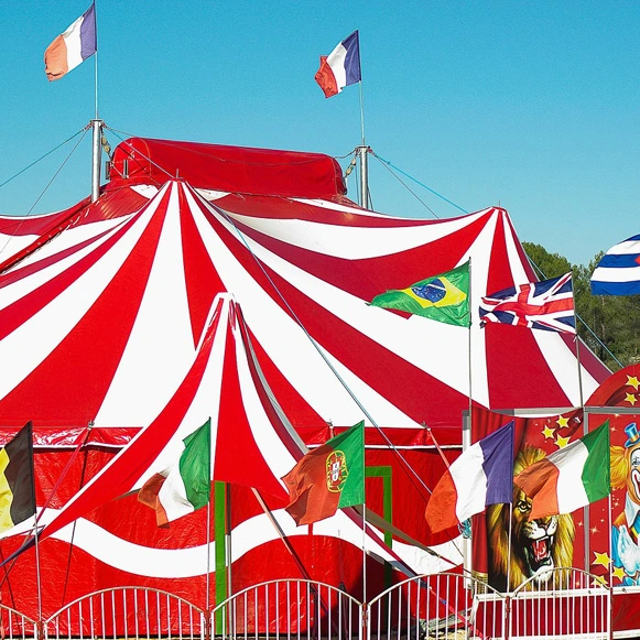 Circus Tents Fabric